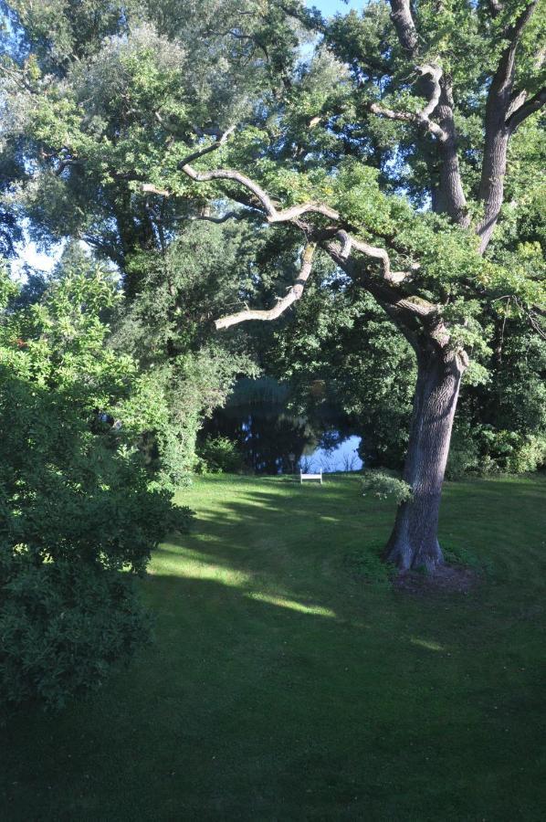 Gartenzimmer Im Schloss Neuhausen Neuhausen  Dış mekan fotoğraf
