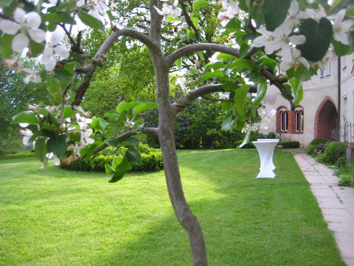 Gartenzimmer Im Schloss Neuhausen Neuhausen  Dış mekan fotoğraf