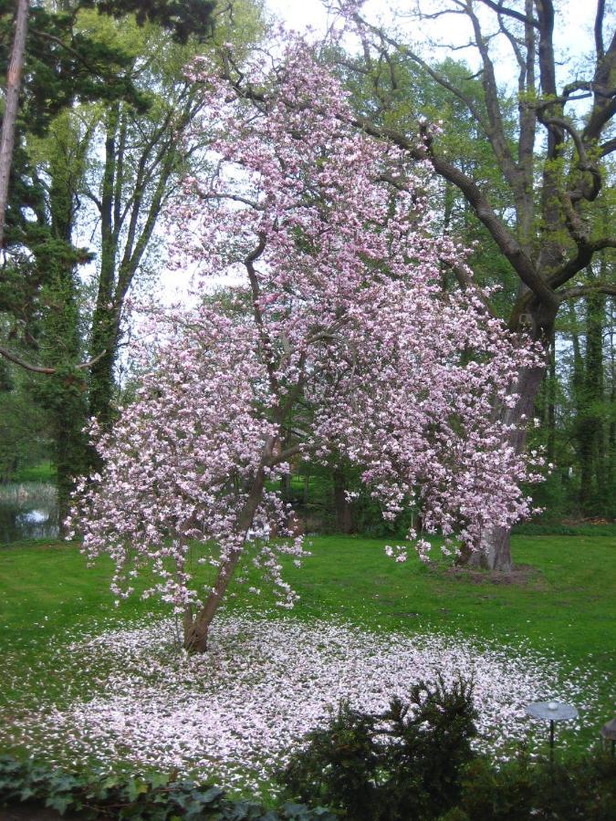 Gartenzimmer Im Schloss Neuhausen Neuhausen  Dış mekan fotoğraf
