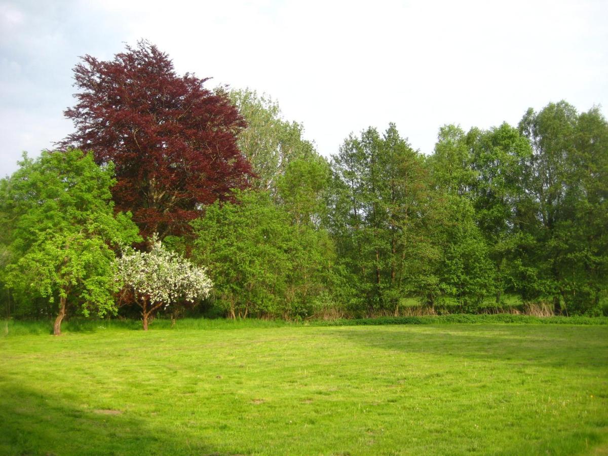 Gartenzimmer Im Schloss Neuhausen Neuhausen  Dış mekan fotoğraf